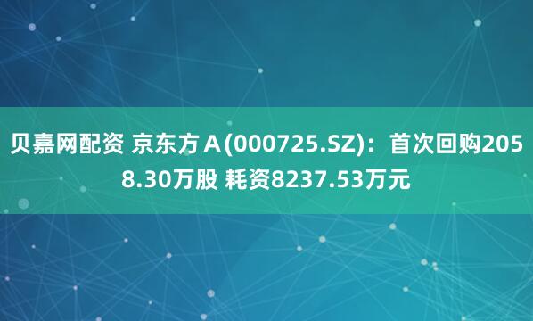 贝嘉网配资 京东方Ａ(000725.SZ)：首次回购2058.30万股 耗资8237.53万元