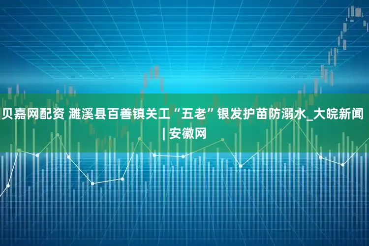 贝嘉网配资 濉溪县百善镇关工“五老”银发护苗防溺水_大皖新闻 | 安徽网
