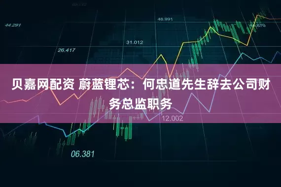 贝嘉网配资 蔚蓝锂芯：何忠道先生辞去公司财务总监职务